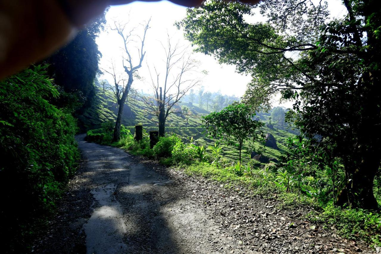 Green Magic Home Munnar Ngoại thất bức ảnh
