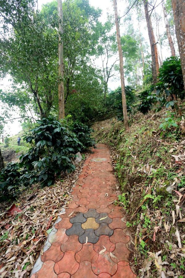 Green Magic Home Munnar Ngoại thất bức ảnh