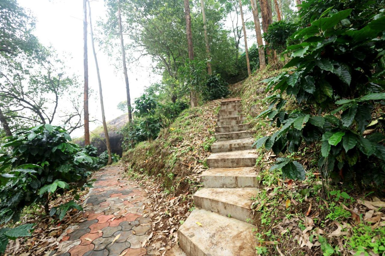 Green Magic Home Munnar Ngoại thất bức ảnh