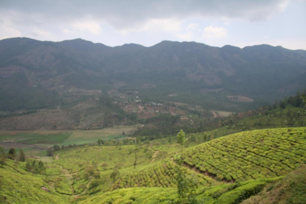 Green Magic Home Munnar Ngoại thất bức ảnh