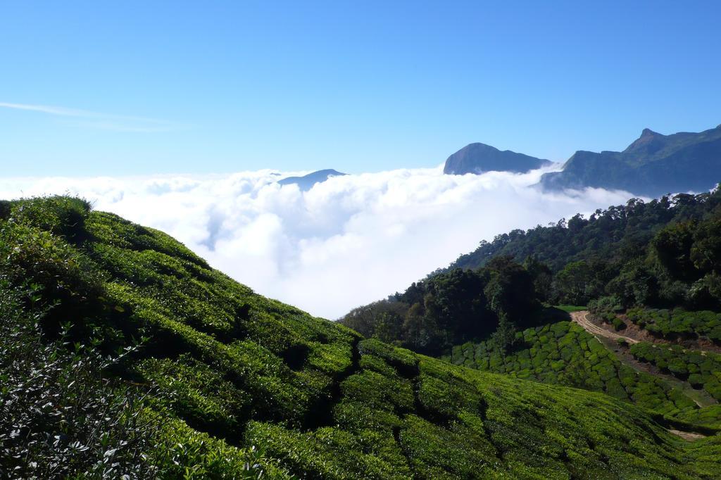 Green Magic Home Munnar Ngoại thất bức ảnh