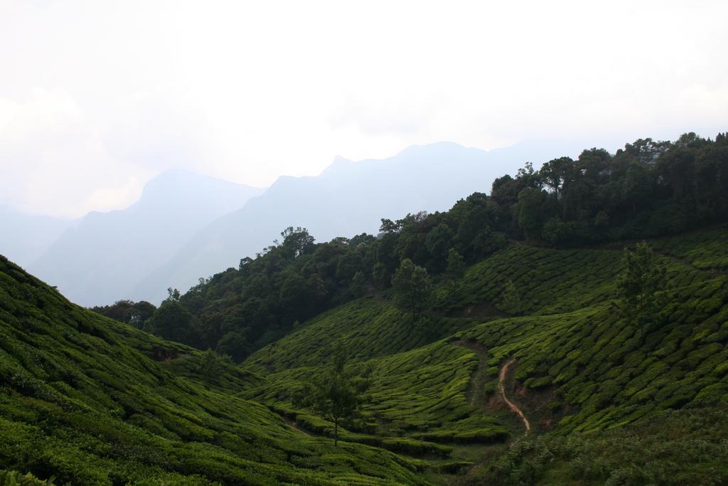 Green Magic Home Munnar Ngoại thất bức ảnh